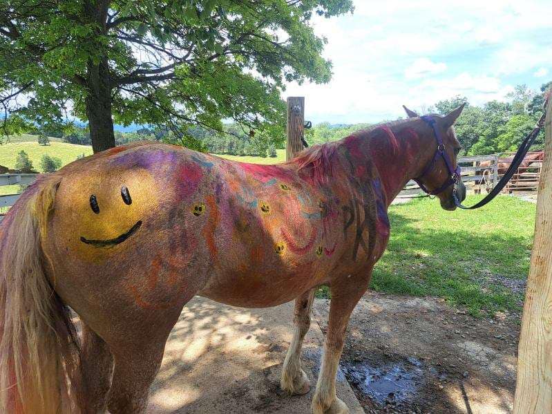 Horse with body painted by kids